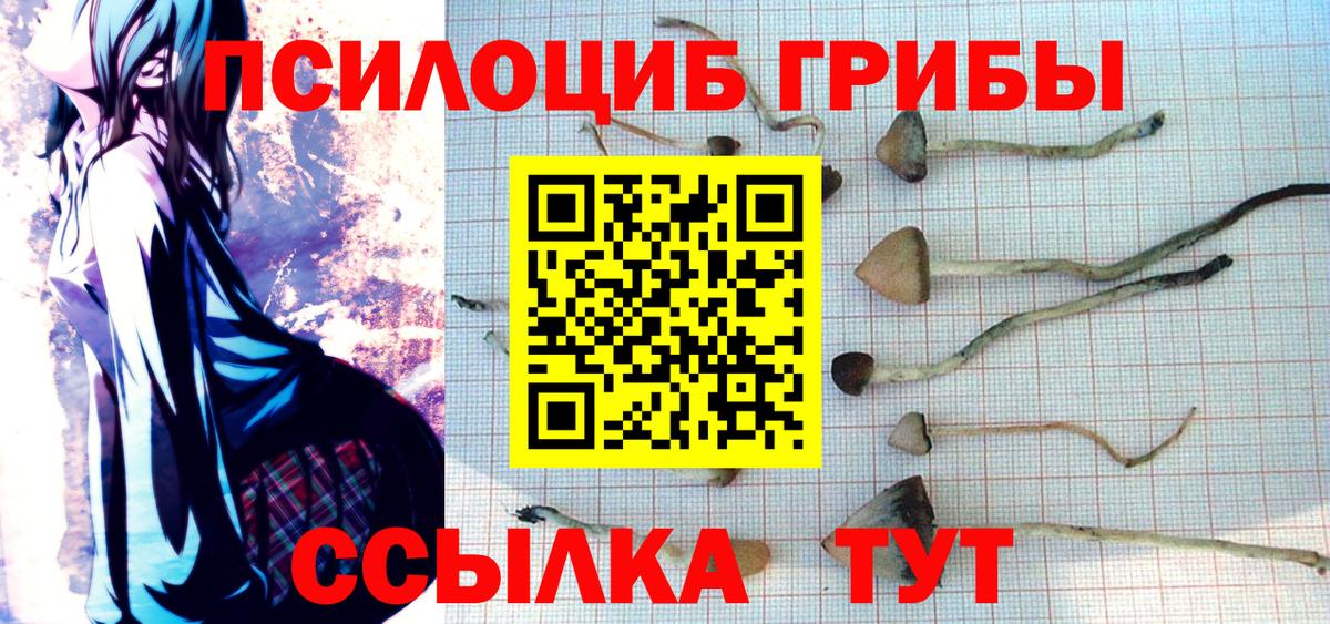 Псилоцибиновые грибы мицелий Котельники